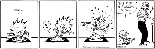 calvinandhobbes